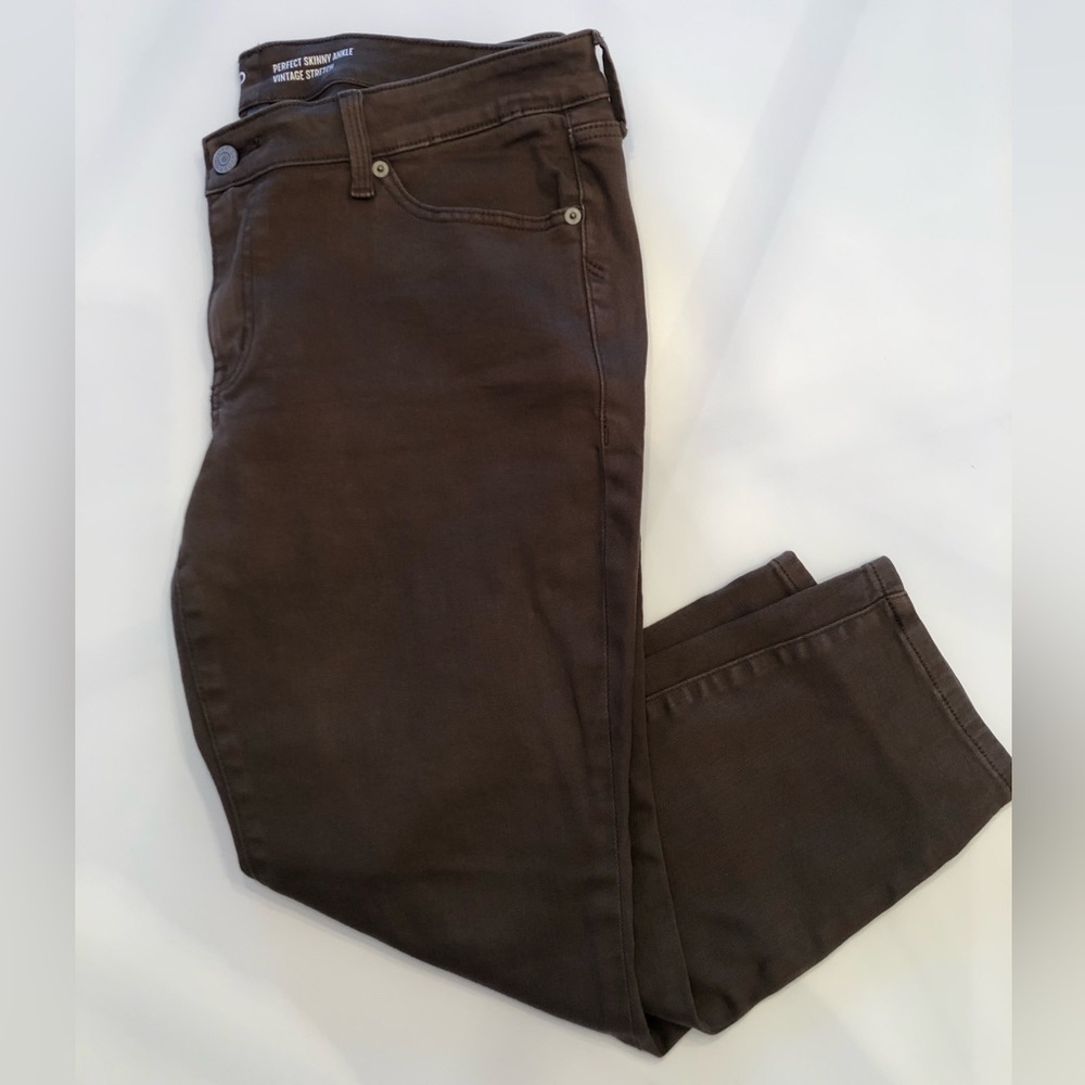 Torrid Jeans